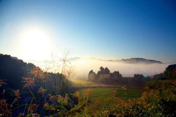 istock The thick Yamato Road 668397064