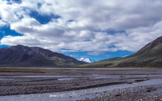 Distant view of Mount Denali from the Toklat River Stop.

