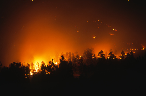 A man made forest fire burns out of control on a mountain hillside as it works it way through the pine trees above highway 285 near the small town of Bailey, Colorado on April 23, 2002.