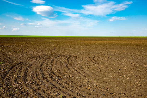 istock ploughed field in sunny spring day 668402638