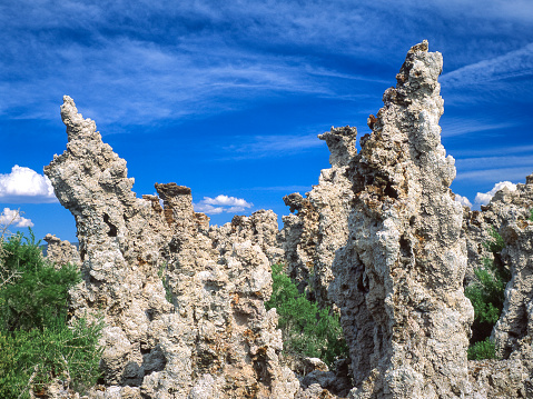 Early morning shot of tufa formation on the bank of Mono Lake under a cloudy sky.

