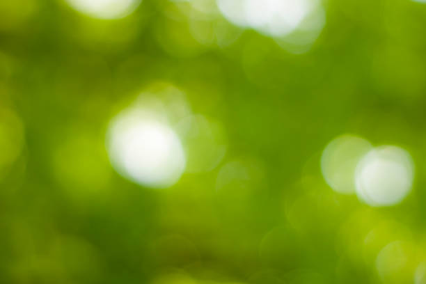 istock abstract background green bokeh circles. Beautiful background with particles. illustration beautiful.a 668405784