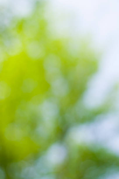 istock abstract background green bokeh circles. Beautiful background with particles. illustration beautiful.a 668405838