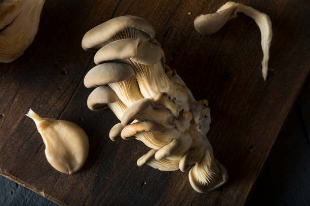 istock Raw Organic Oyster Mushrooms 668406904