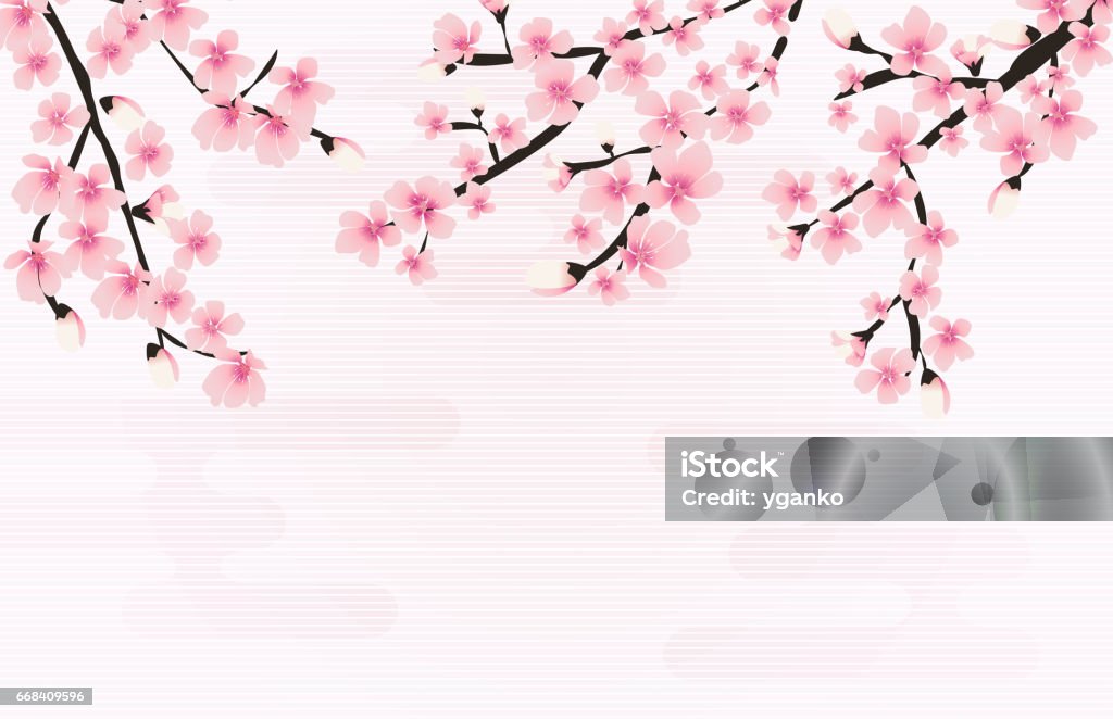 Abstrakte florale Sakura Blüte japanischen natürlichen Hintergrund Vektor - Lizenzfrei Kirschblüte Vektorgrafik