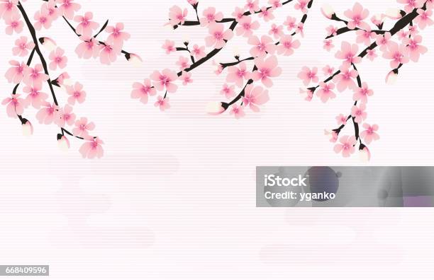 Abstrakte Florale Sakura Blüte Japanischen Natürlichen Hintergrund Vektor Stock Vektor Art und mehr Bilder von Kirschblüte