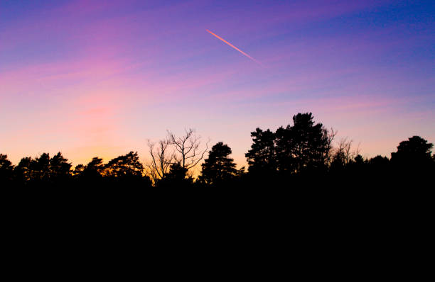 istock Jet flies over forest silhouette against beautiful sunset sky 668412904