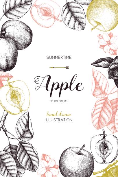 사과 과일 디자인 - autumn tree leaf formal garden stock illustrations