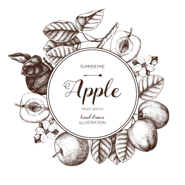 애플 과일 디자인 - autumn tree leaf formal garden stock illustrations