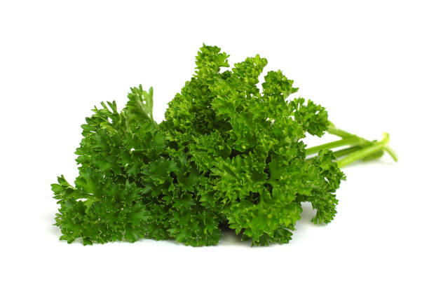 istock Fresh Herbs - green parsley isolated on white 668422942