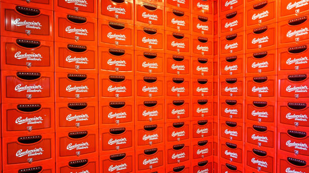 cervecería de budvar budweiser. pared de cajas de cerveza. - budweiser fotografías e imágenes de stock