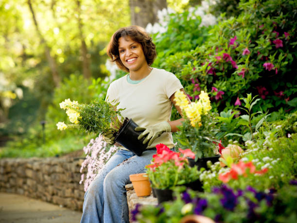 istock Woman Planting In a Garden 668423428