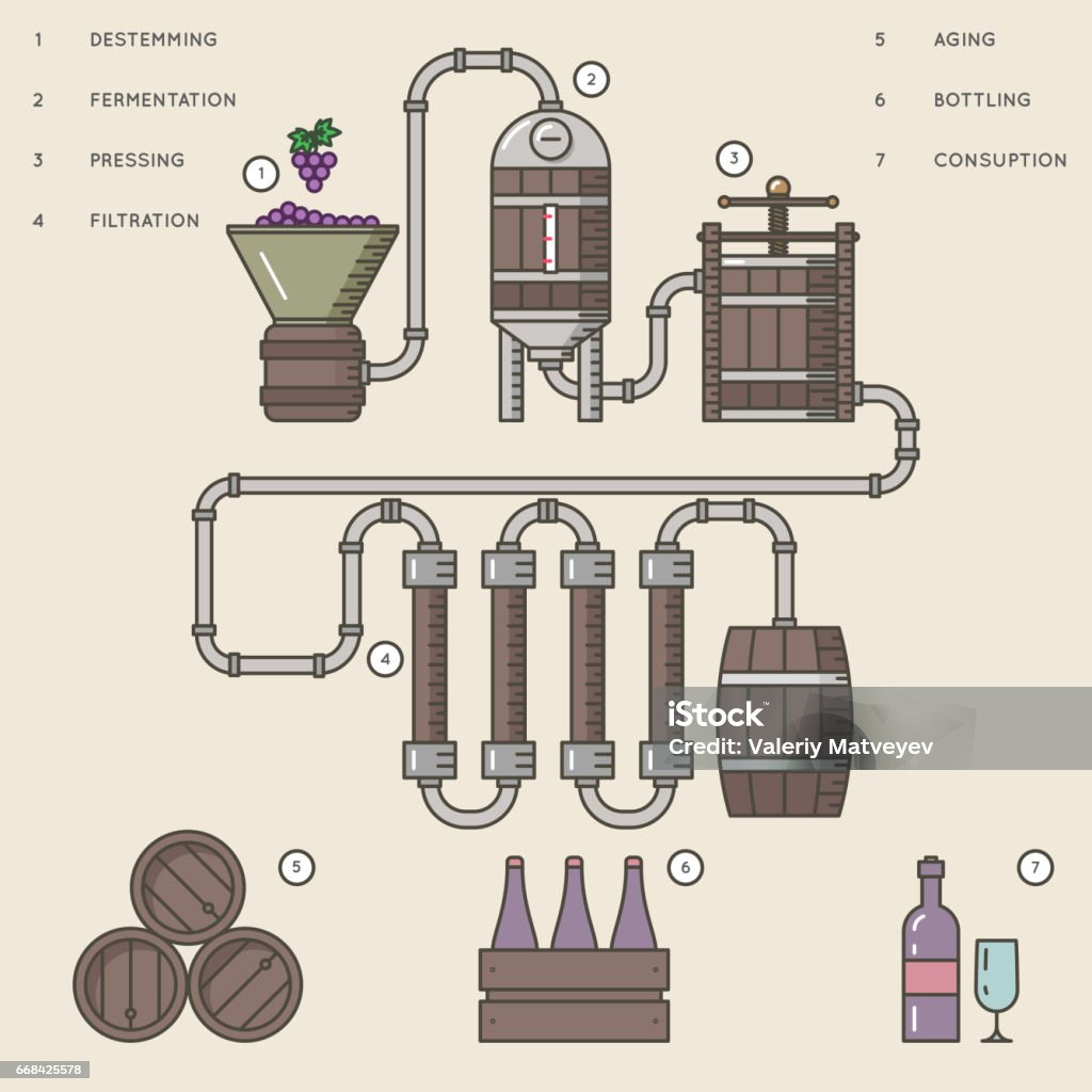 Wine making process or winemaking infographic vector illustration. Wine making process or winemaking infographic vector illustration. Process production beverage from grape Organization stock vector