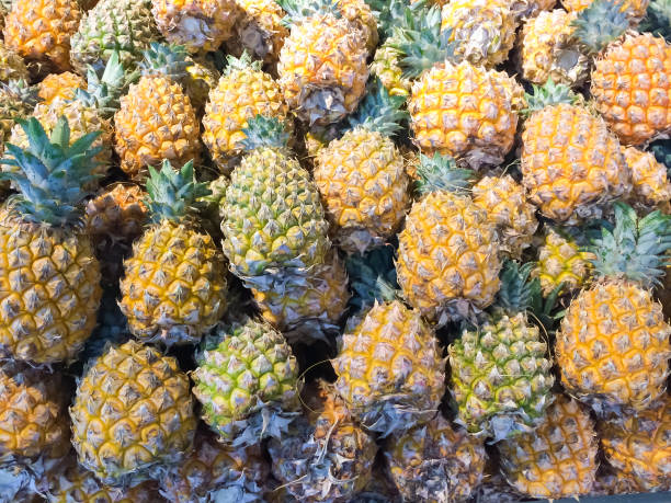 istock Pile of pineapple 668429116