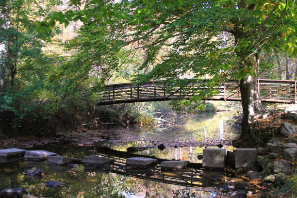 istock Bridge over the Big Rocky Run 668431458