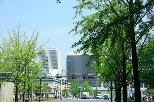 istock Hotel Keihan of verdure 668436994