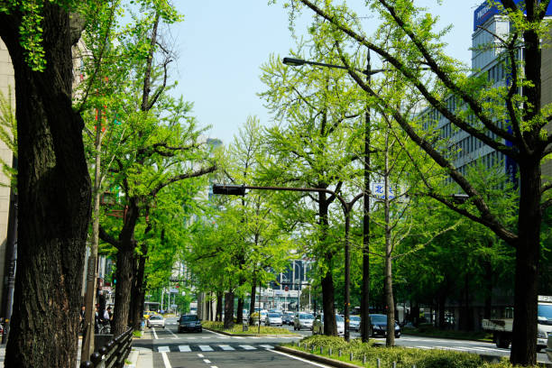 istock Hotel Keihan of verdure 668437070