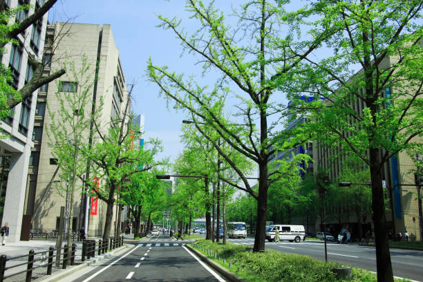 istock Hotel Keihan of verdure 668437134