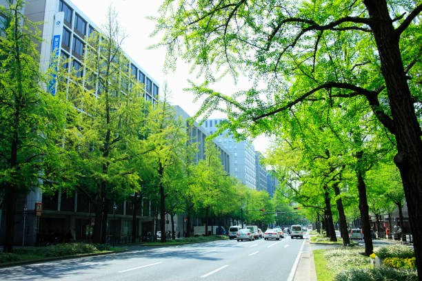 istock Hotel Keihan of verdure 668439240