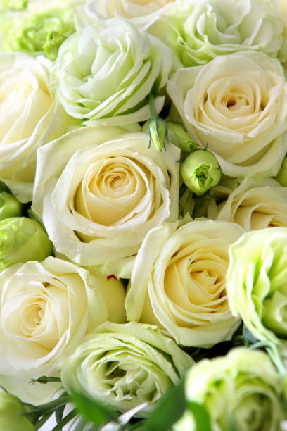 istock Bouquet of bright yellow roses 668439352