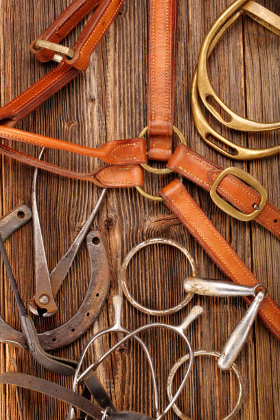 istock Set of horse equipment 668439818