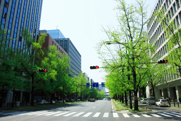 istock Hotel Keihan of verdure 668442952