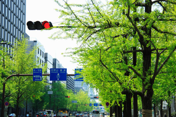 istock Hotel Keihan of verdure 668442958