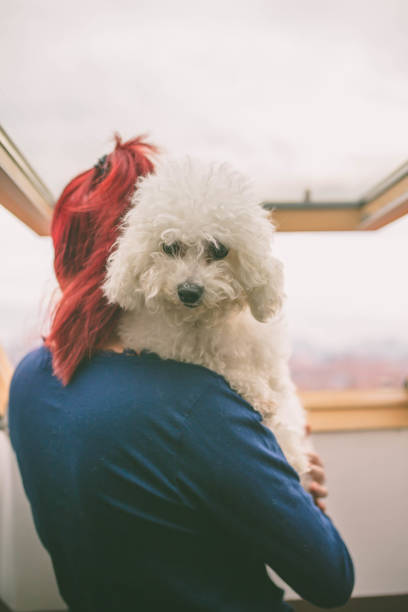 istock girl  and cuddling her cute dog 668443852