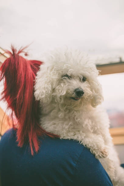 istock girl  and cuddling her cute dog 668443886