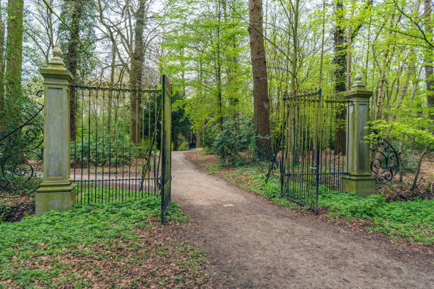 istock Black iron fence with gold decoration is opened hospitable 668453154