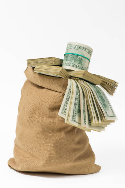 istock Money in the bag isolated on a white background 668456110
