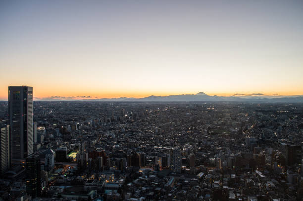 istock Tokyo Panorama as seen from TOCHO (Tokyo Metropolitan Government Building) by Day 668459470
