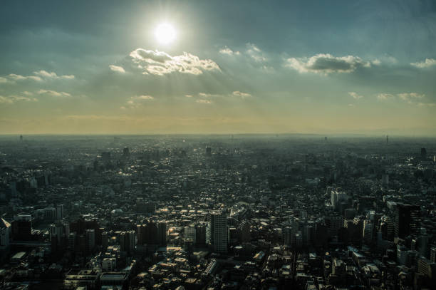 istock Tokyo Panorama as seen from TOCHO (Tokyo Metropolitan Government Building) by Day 668460064