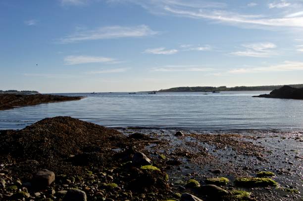 istock Rocky Coastline of Maine 668462470