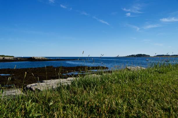 istock Rocky Coastline of Maine 668462486