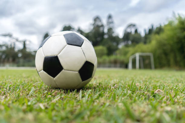 istock Leather soccer ball in the field 668472394