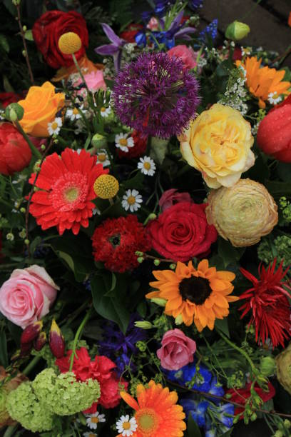 istock Colorful wedding flowers 668473250