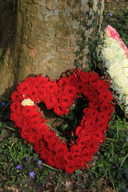 istock Sympathy flowers near a tree 668474826