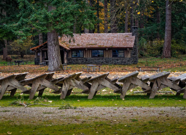 Wooden Gazebo with a Table and Benches for Relaxation and Picnic on a Weekend in Nature Outdoors in a Birch Forest in Autumn