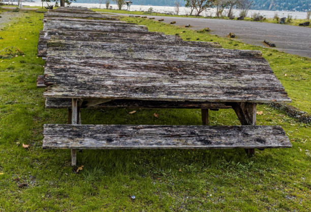 Picnic Benches