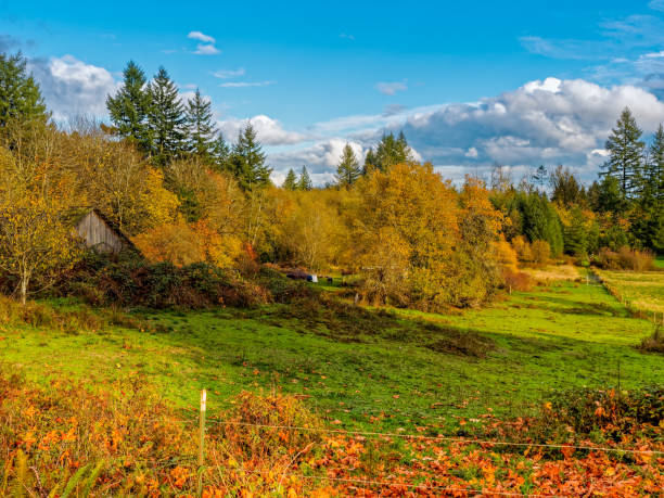 istock Farm In Country 668487456