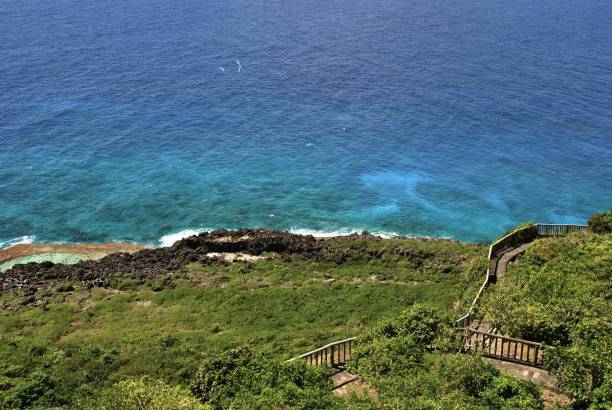 istock Bird sanctuary, Rota, Northern Mariana Islands 668493792
