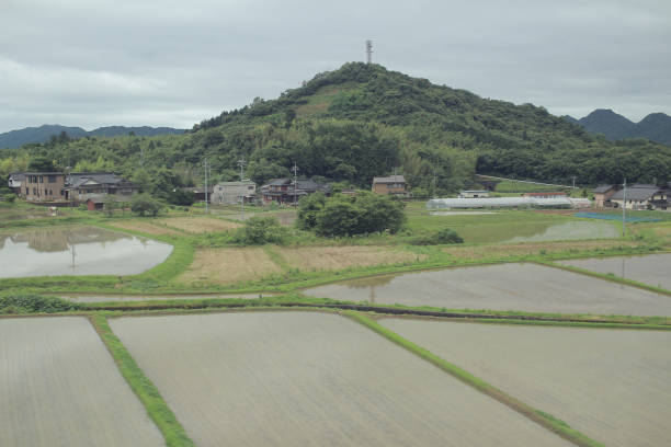 istock the farm view from train at Yamaguchi 668496452