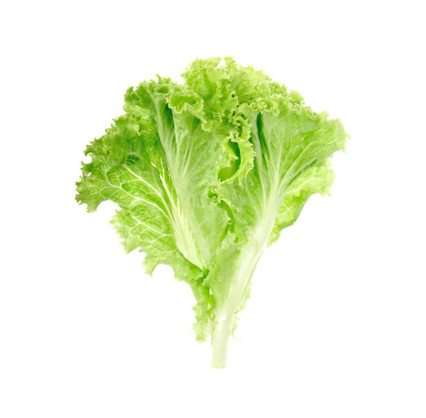 istock salads leaves close up isolated on white background 668506726