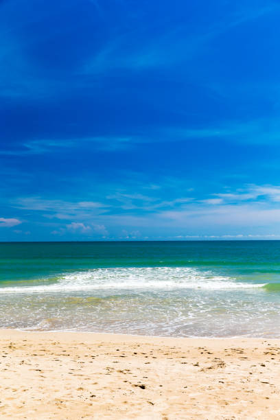 istock tropical beach in Sri Lanka 668512988