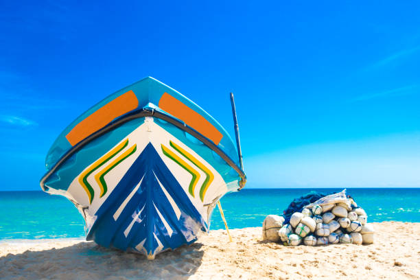 istock tropical beach in Sri Lanka 668513258