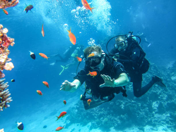 istock Diving training. Divers near coral reefs 668520594