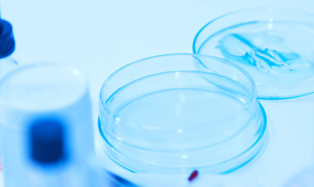 istock Scientist with equipment laboratory for science concept. 668527154