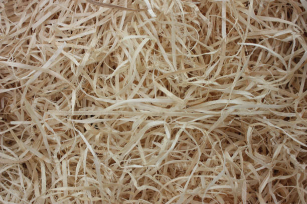 Fragment of deformed roll of a gray brown undyed unbleached soft crepe paper, view from the butt-end of roll close-up