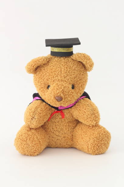 istock Brown bear wearing a graduation cap on a white background. 668533084